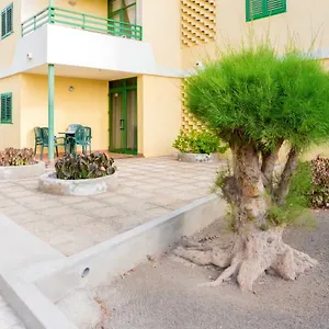 https://apartamento-pepe.in-canary-islands.com